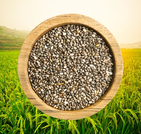 Chia Seeds 23