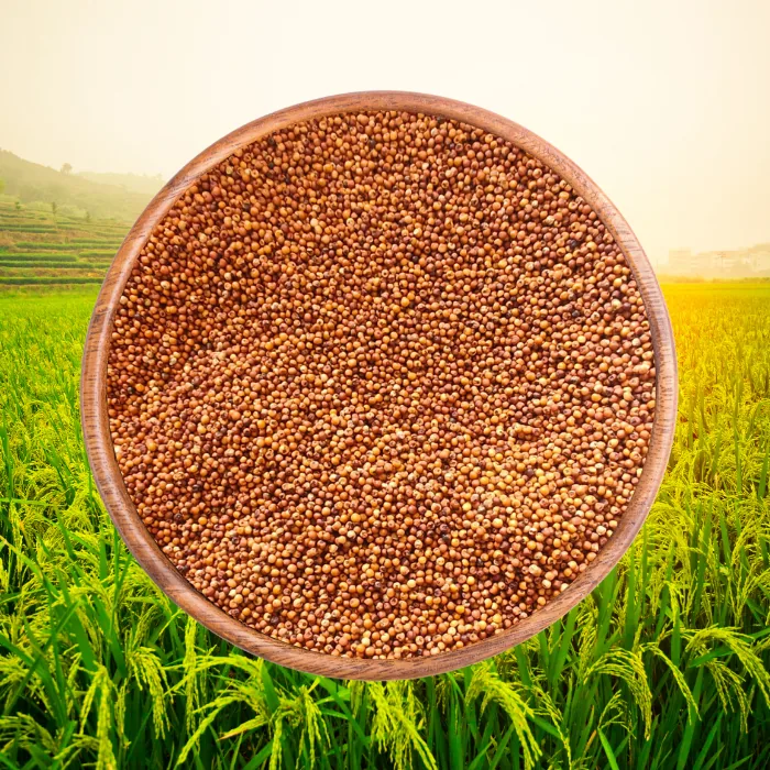Ragi